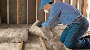 Best Insulation for Existing Homes  in Town Line, NY